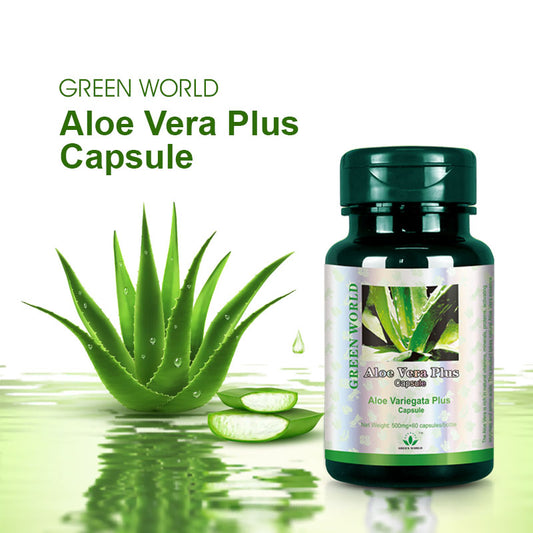 Aloe Vera Plus Capsule: Anti-Inflammatory and Bowel Support - Green World herbal health  Products 