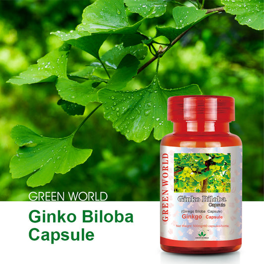 Ginkgo Biloba Green World Capsule: Boost Memory and Repair Damage Tissue - Green World herbal health  Products 